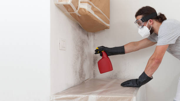 Professional Crawl Space Mold Remediation technician working in Elmont, NY
